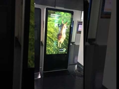 Цифровые вывески без очков